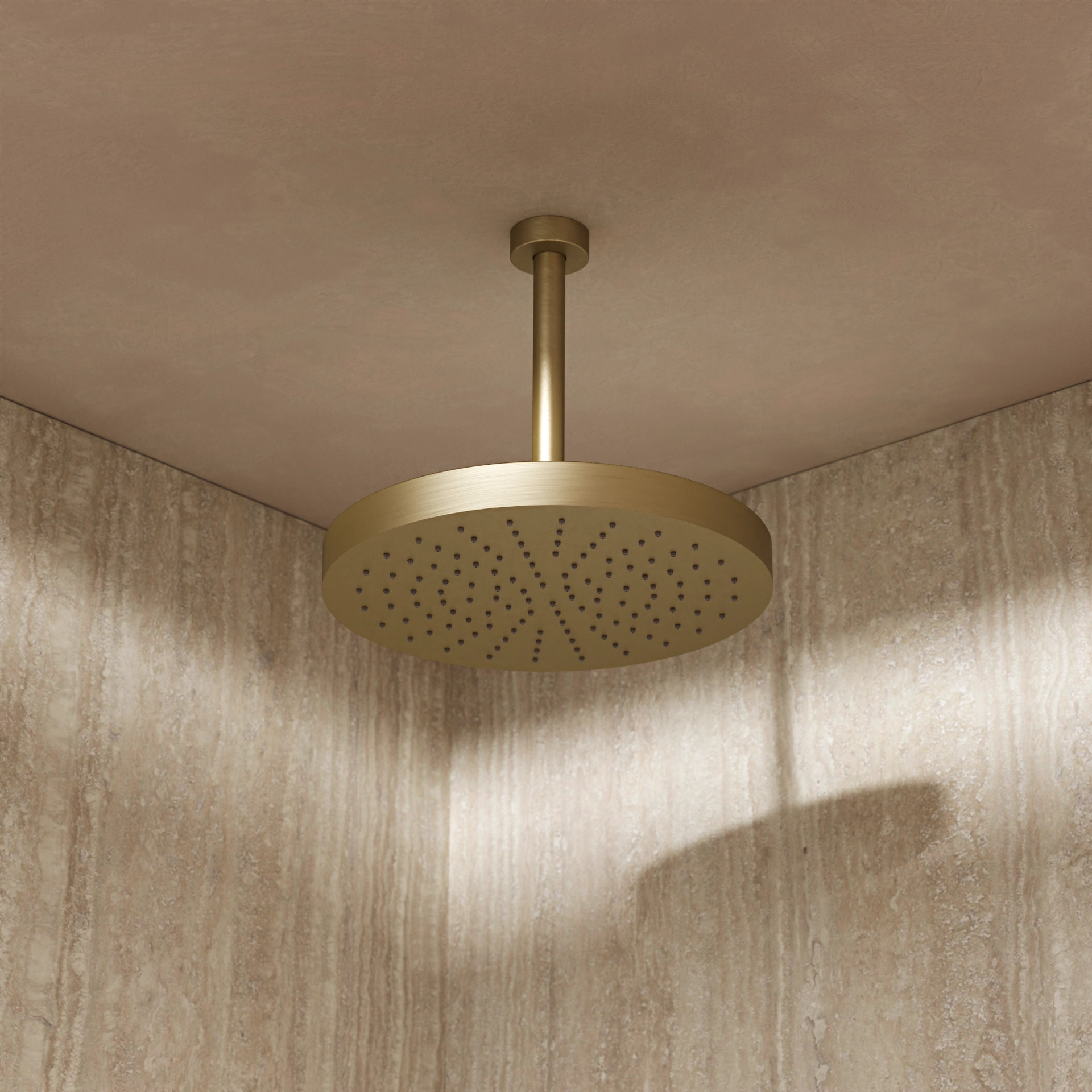 Ceiling Shower Arm