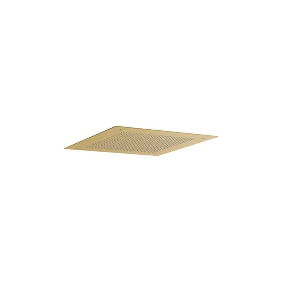 fh381f-cut.jpg
