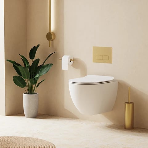 Glide II Back to Wall Toilet