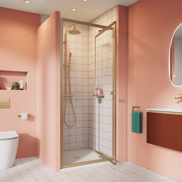 Clear 6 Infold Shower Door with Side Panel in Brushed Brass