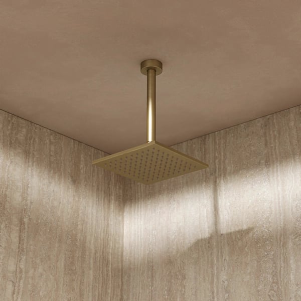 Zion Shower Head