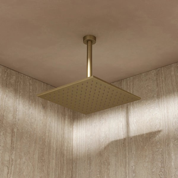 Zion Shower Head