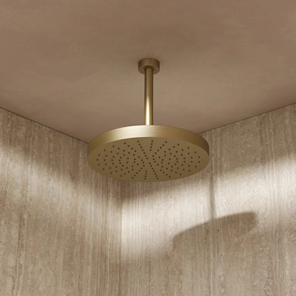 Revive Shower Head Stainless Steel