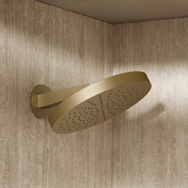 Revive Shower Head Stainless Steel