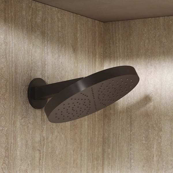 Revive Shower Head Stainless Steel