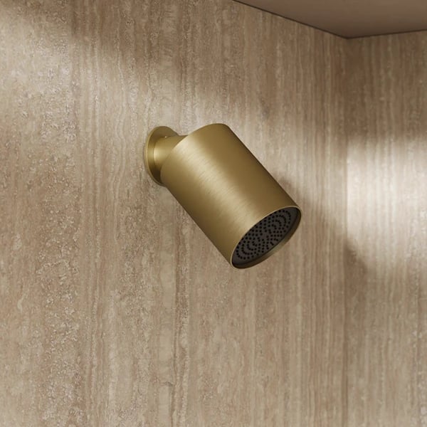 Revive Wall Shower Head