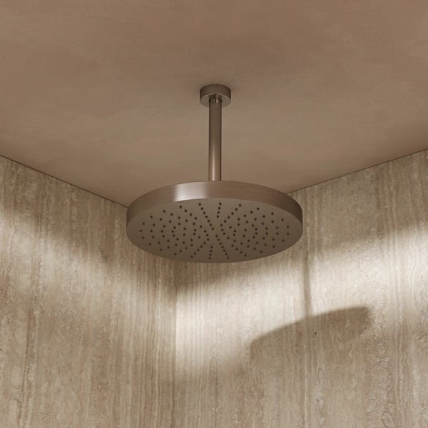 Ceiling Shower Arm