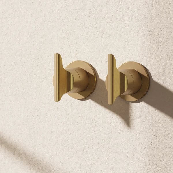 Module Foile 2 Outlet Shower Valve