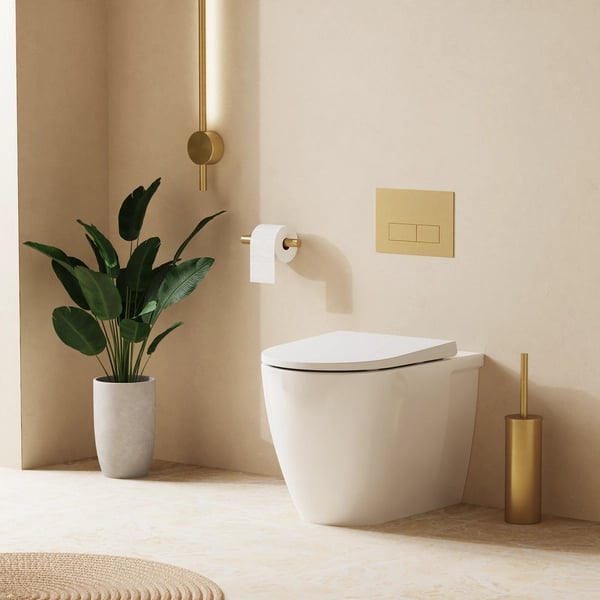 Kai X Back to Wall Toilet with Soft Close Seat