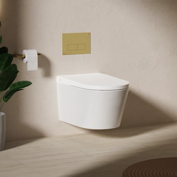 Smart Wall Hung WC And Seat With Wash And Dry Function
