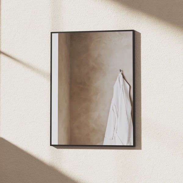 MPRO Mirror