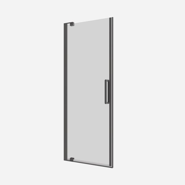 Optix 10 Pivot Shower Door in Slate