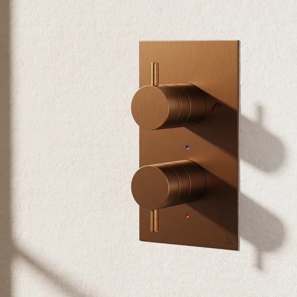 MPRO 2 Outlet 2 Handle Thermostatic Shower Valve