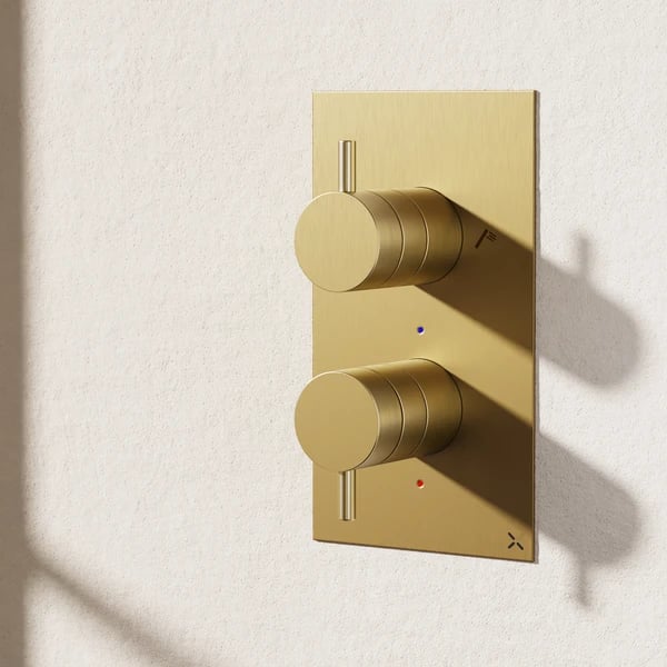 MPRO 2 Outlet 2 Handle Thermostatic Shower Valve