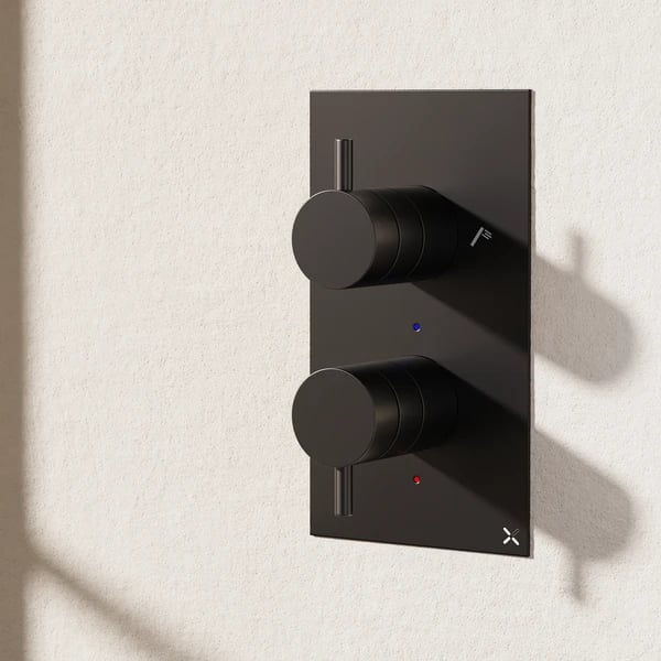 MPRO 2 Outlet 2 Handle Thermostatic Shower Valve