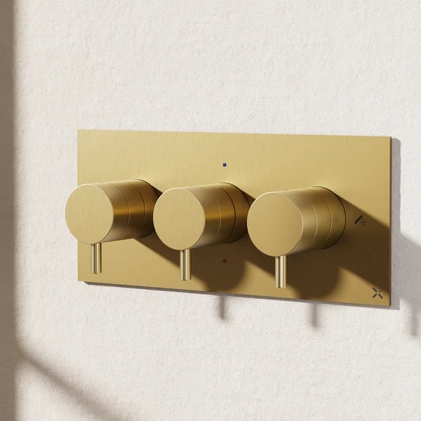 MPRO 2 Outlet Thermostatic Shower Valve