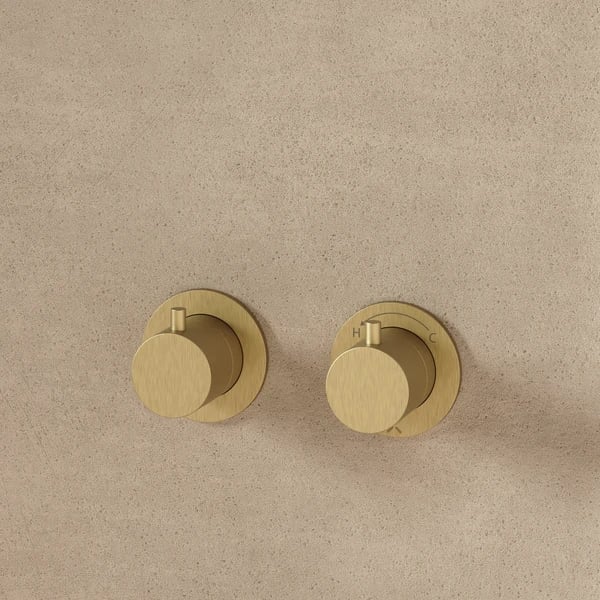 Module MPRO Shower Valve