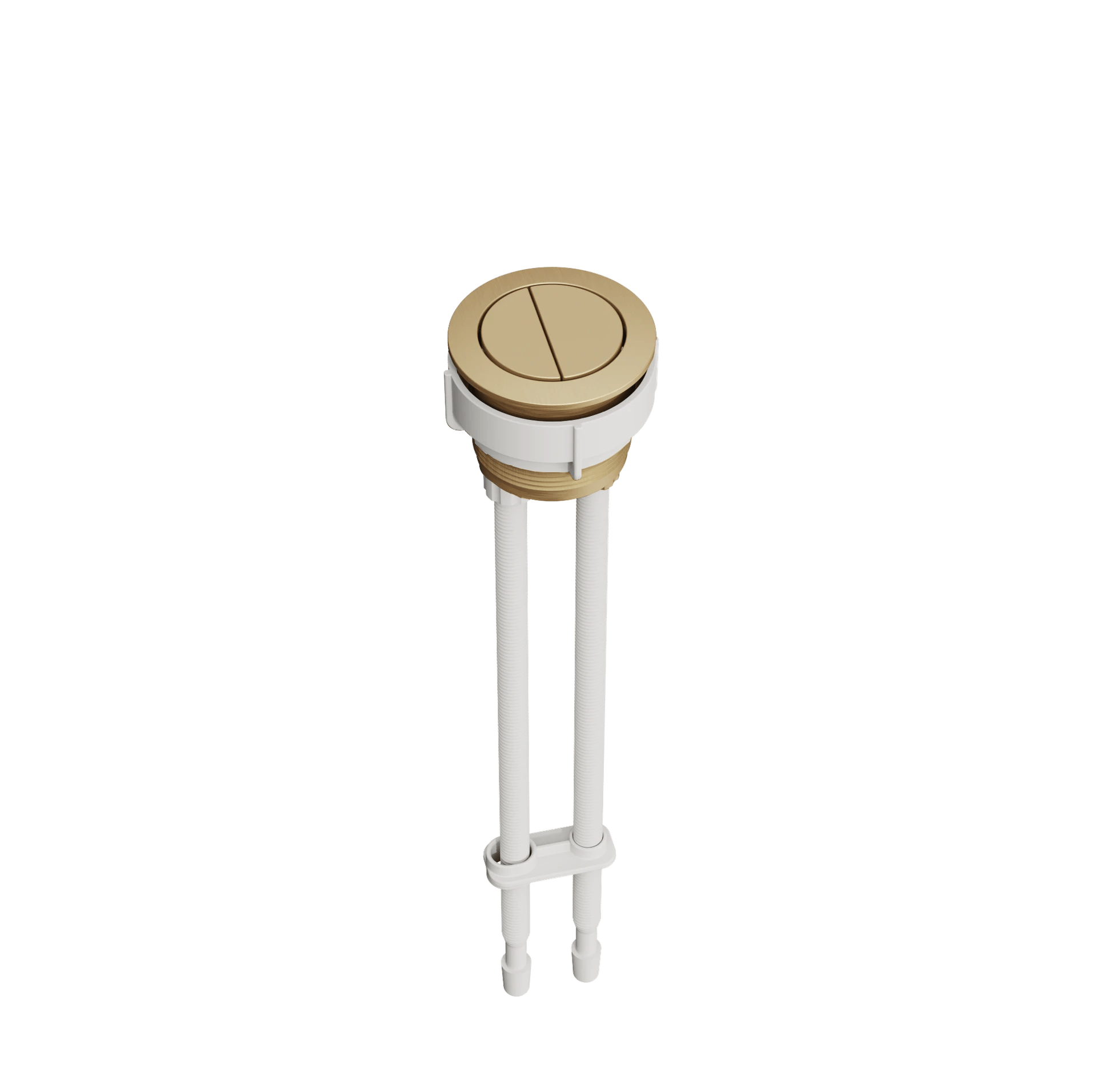 wcbuttonf-cut.png