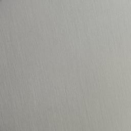 Stainless Steel Swatch