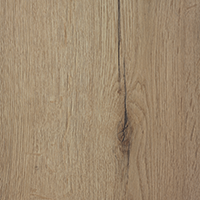 Windsor Oak