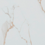Bronze Marble